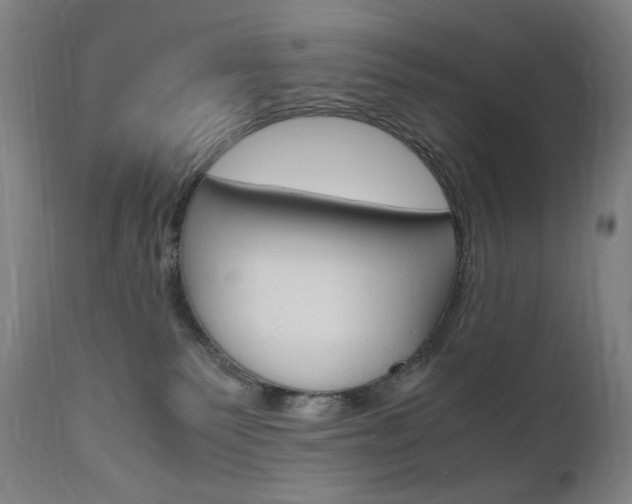 X0000110950135200906191124