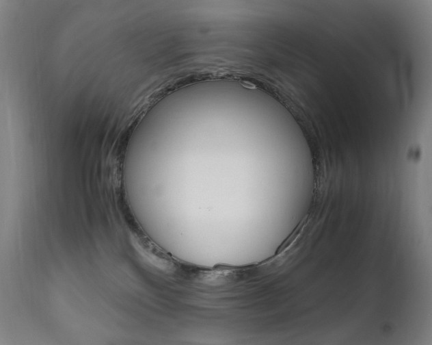 X0000110950136200906191124