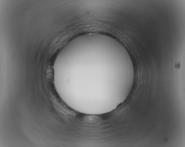 X0000110950137200906191124
