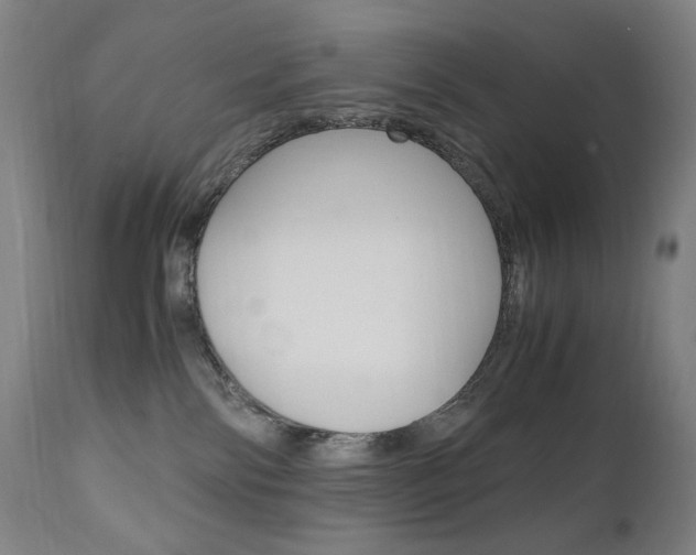X0000110950138200906191124