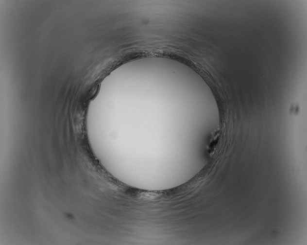 X0000110950139200906191124