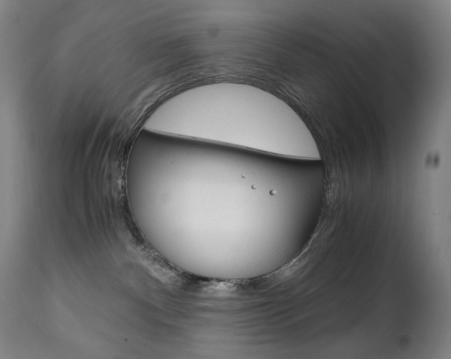 X0000110950140200906191124