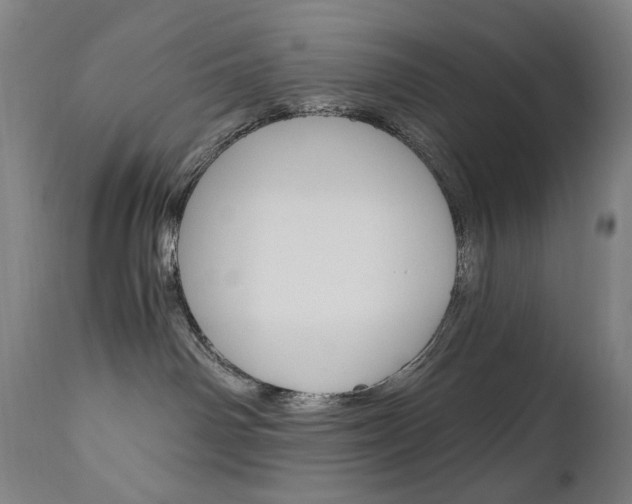 X0000110950142200906191124