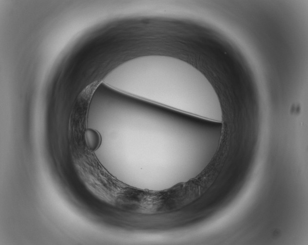 X0000110950143200906191124