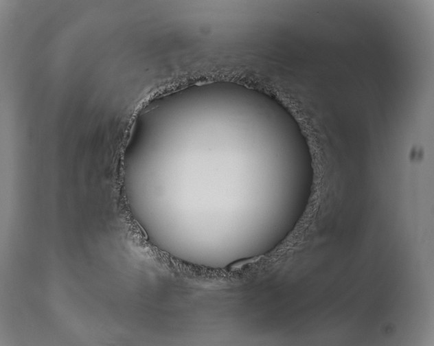 X0000110950144200906191124