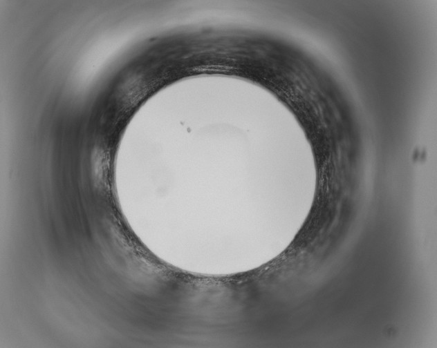 X0000110950146200906191123