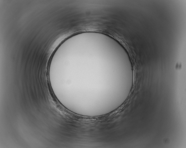 X0000110950147200906191123