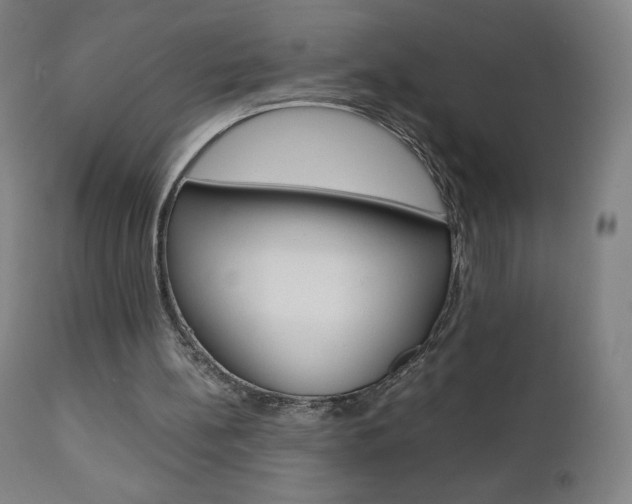 X0000110950148200906191123