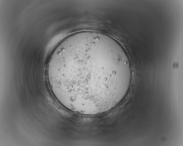 X0000110950149200906191123