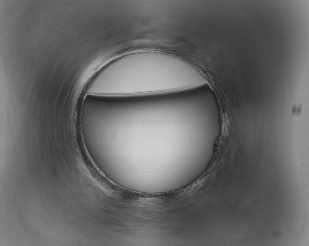 X0000110950150200906191123