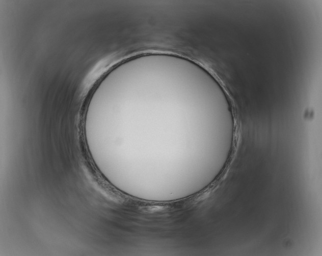 X0000110950151200906191123