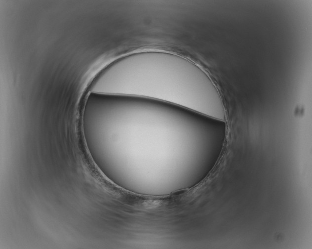 X0000110950152200906191123