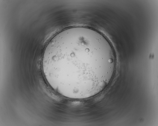 X0000110950153200906191123