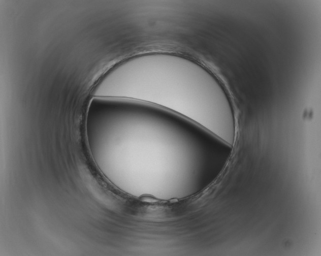 X0000110950154200906191123