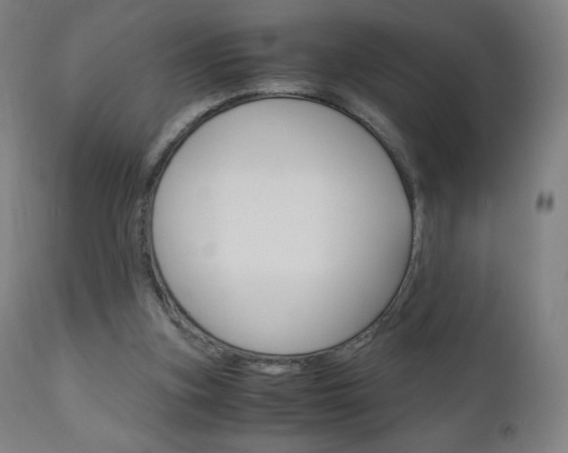 X0000110950155200906191123