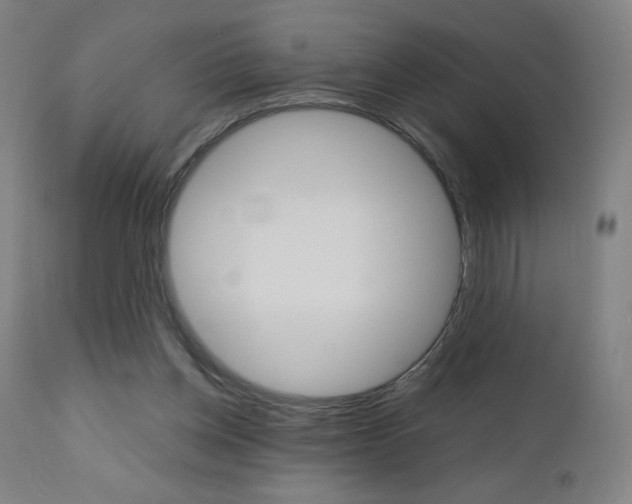 X0000110950158200906191123