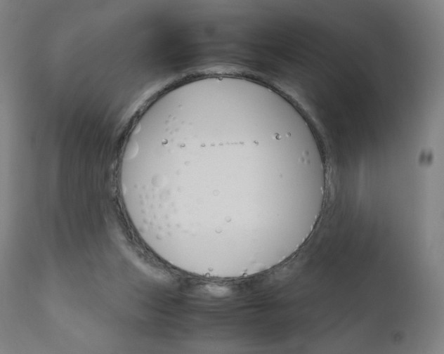 X0000110950159200906191123