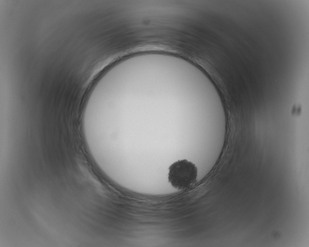 X0000110950160200906191123