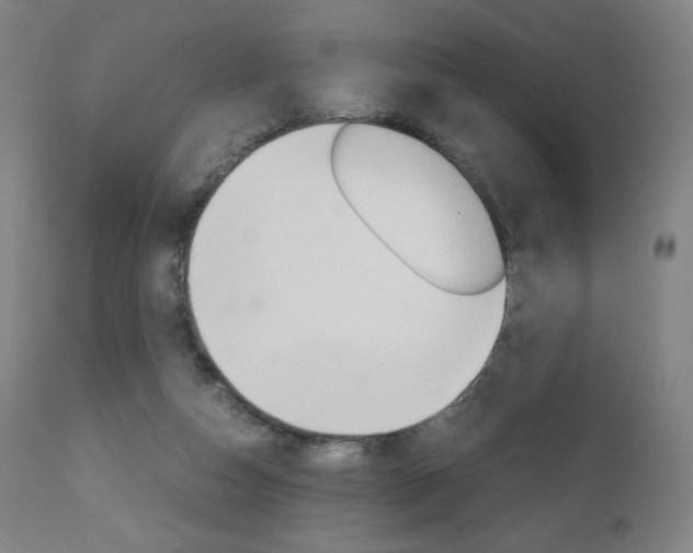 X0000110950162200906191123