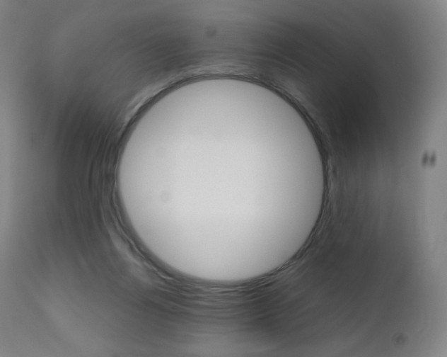 X0000110950164200906191123