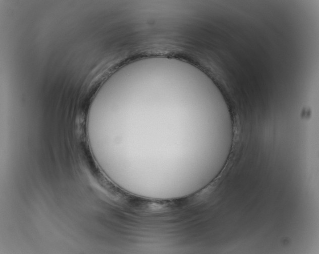 X0000110950166200906191123