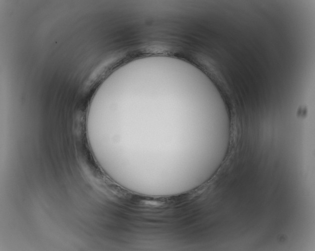 X0000110950167200906191123
