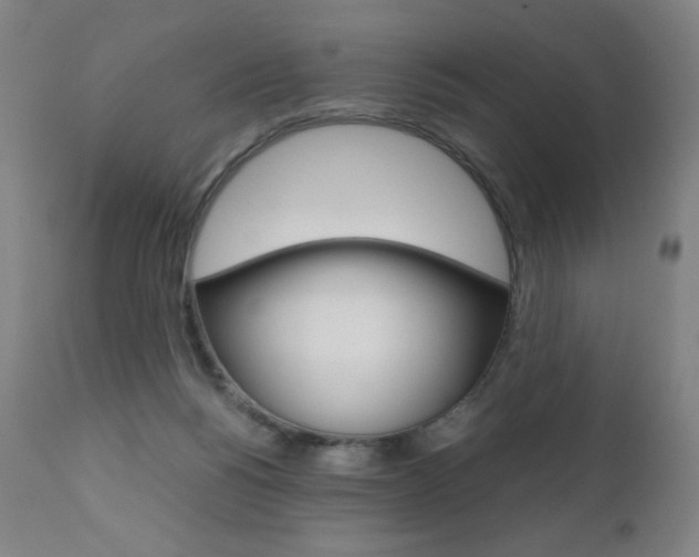 X0000110950168200906191123