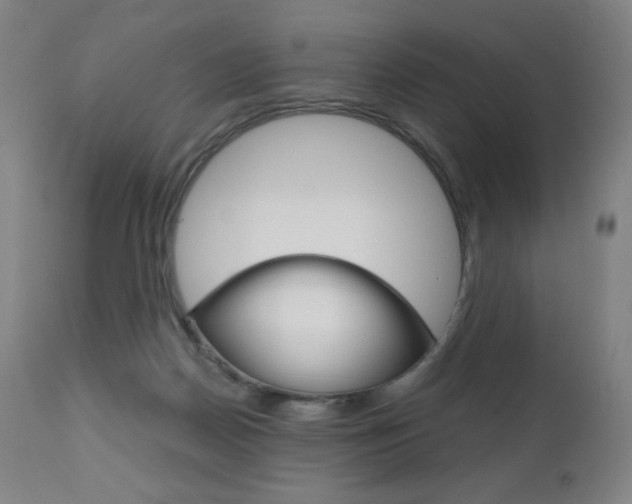 X0000110950170200906191123