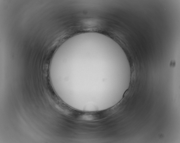 X0000110950171200906191123