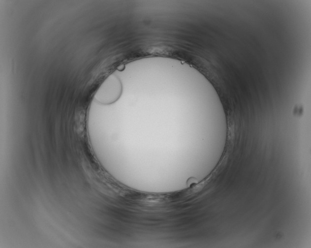 X0000110950175200906191123