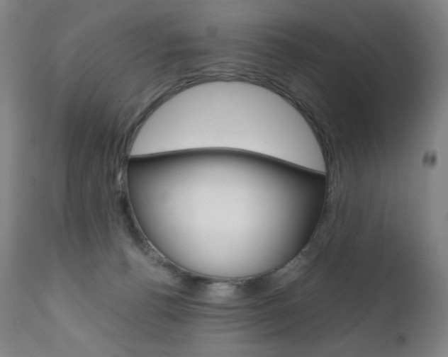 X0000110950176200906191123