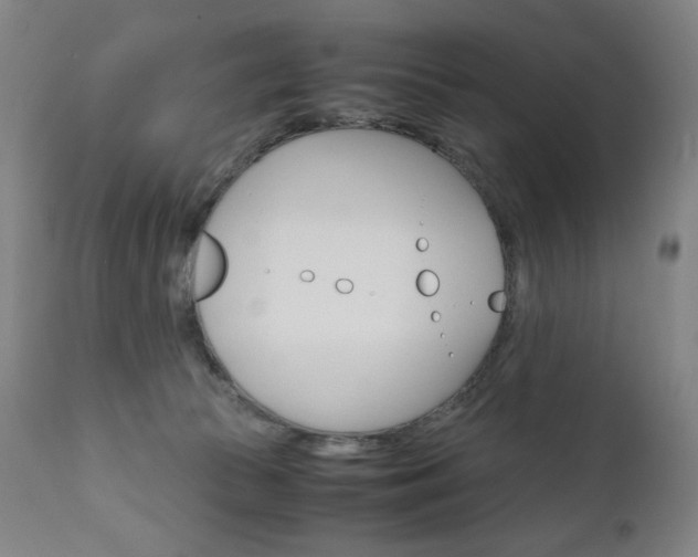 X0000110950177200906191123