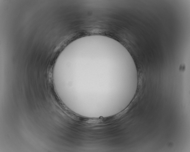 X0000110950179200906191124