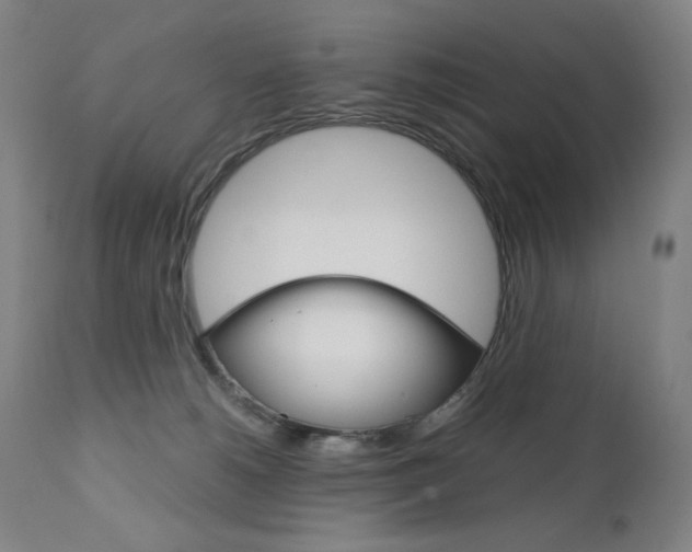 X0000110950180200906191124