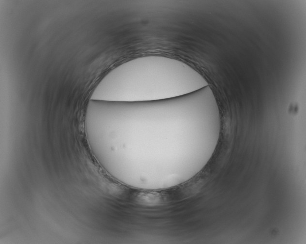 X0000110950181200906191124