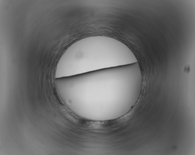 X0000110950182200906191124