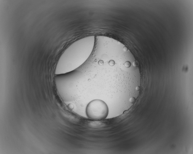 X0000110950183200906191124