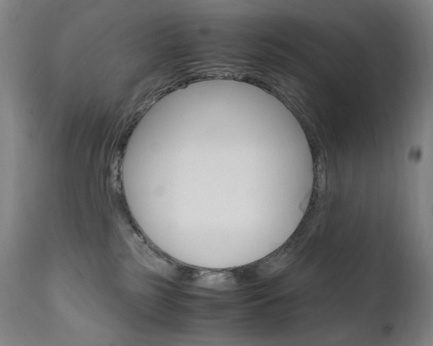 X0000110950185200906191124
