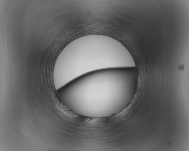 X0000110950186200906191124