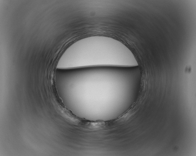 X0000110950188200906191124