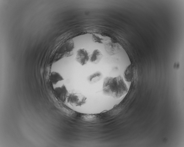 X0000110950189200906191124