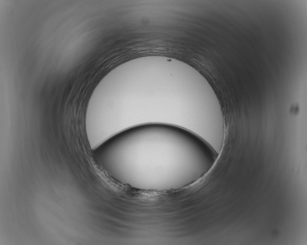 X0000110950190200906191124
