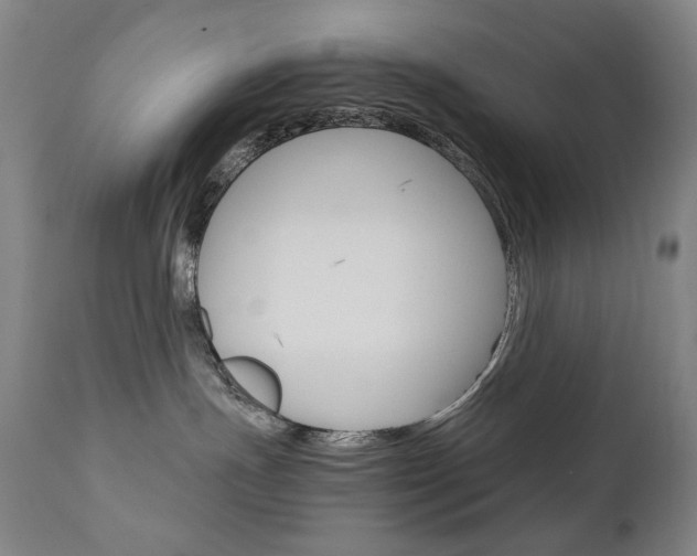X0000110950191200906191124