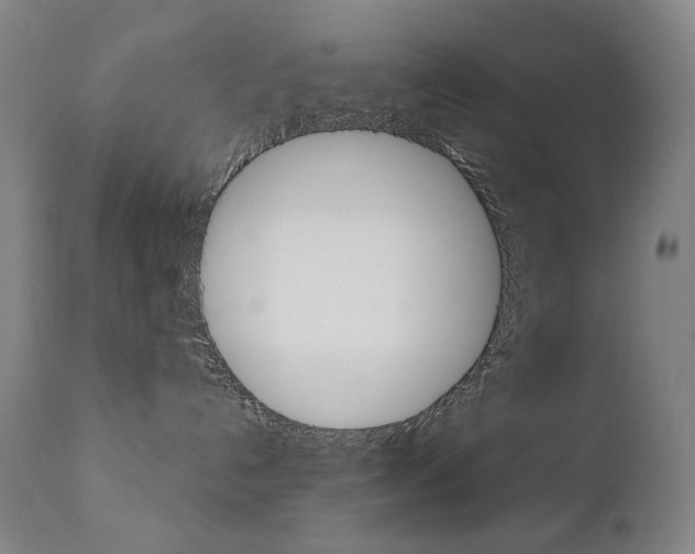 X0000110950192200906191124