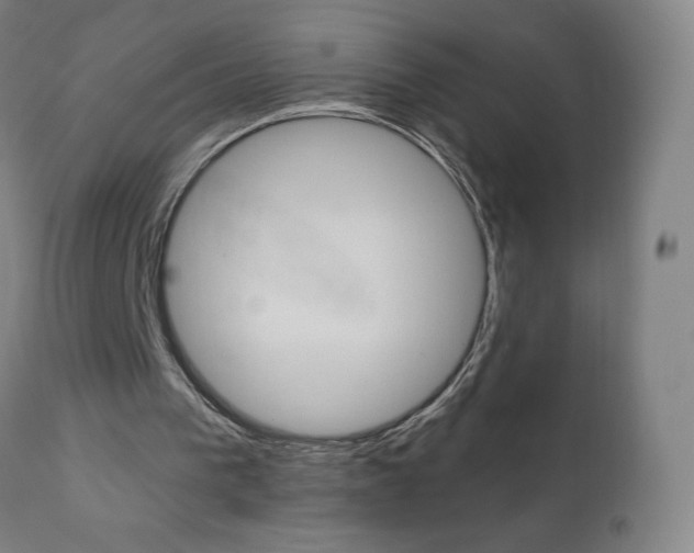 X0000110950193200906191123