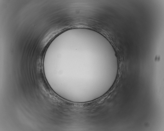 X0000110950194200906191123