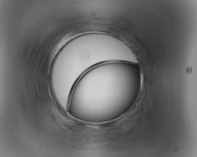 X0000110950195200906191123