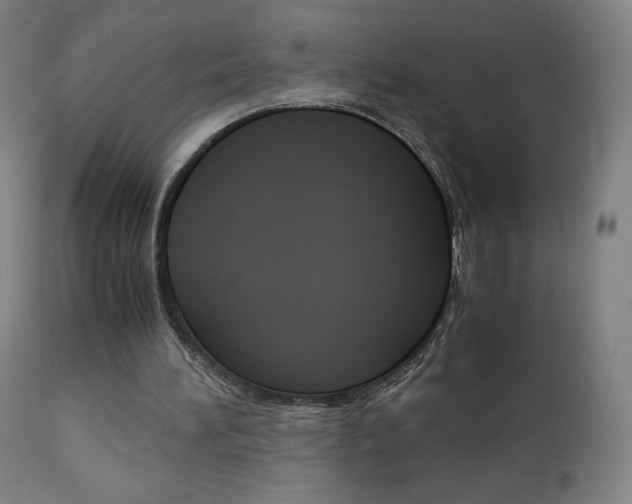 X0000110950196200906191123
