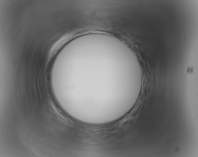 X0000110950197200906191123