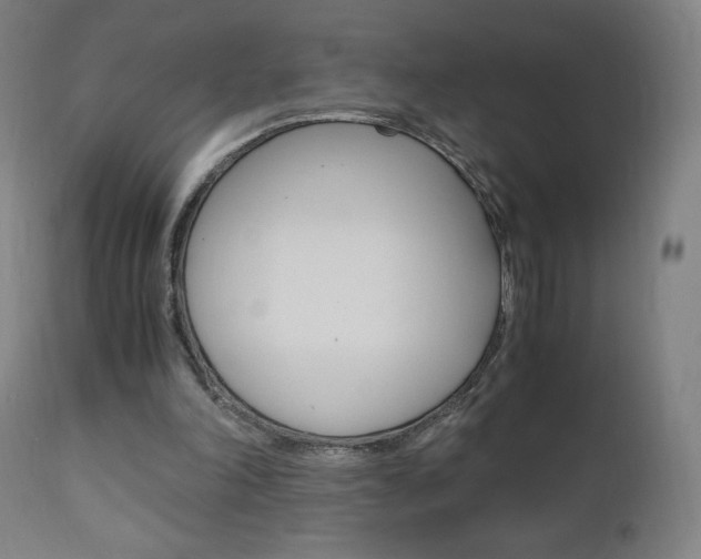 X0000110950198200906191123